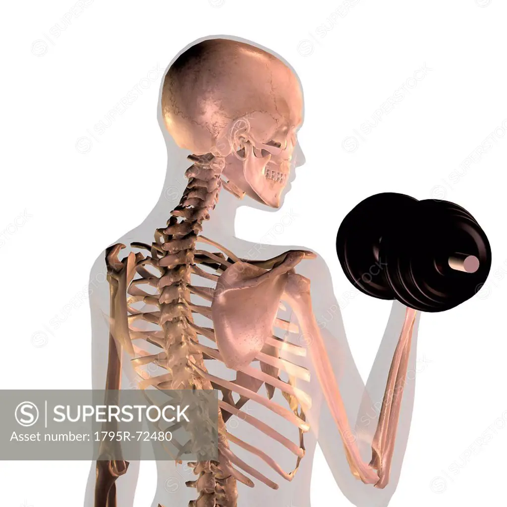 Conceptual image showing human skeleton doing workout