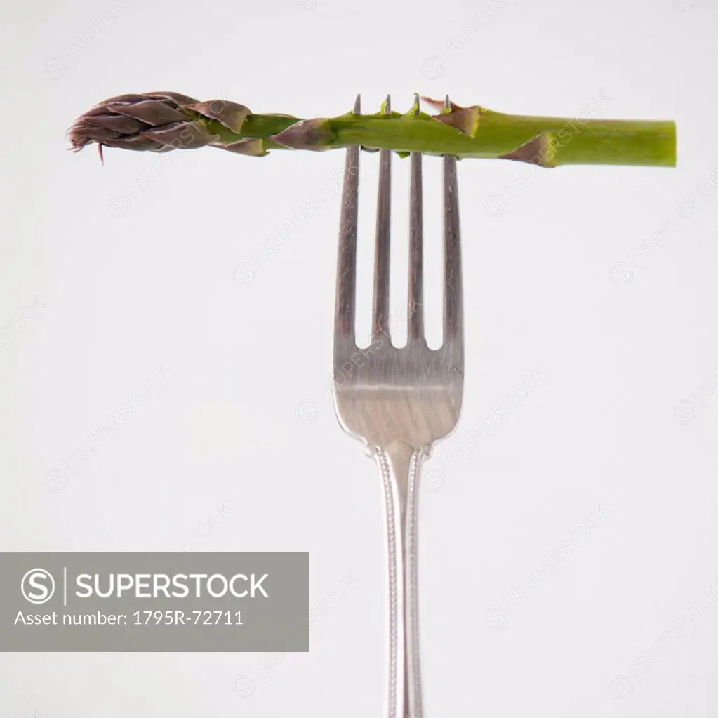 Asparagus on fork, studio shot