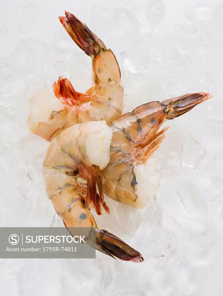 Close up of shrimp, studio shot
