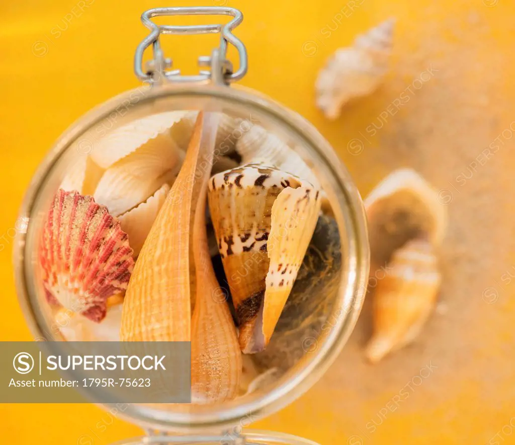 Composition of sea shells in glass jar on yellow background