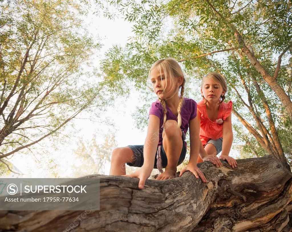 Two little girls 4_5, 6_7 climbing on horizontal tree branch