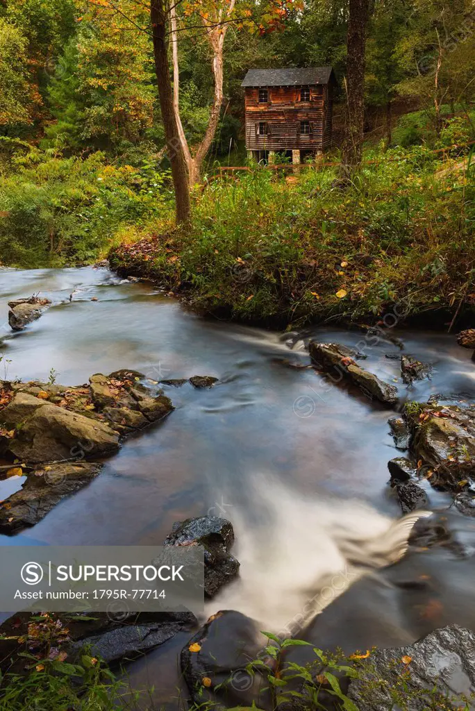 Meytre Grist Mill, Stream in forest