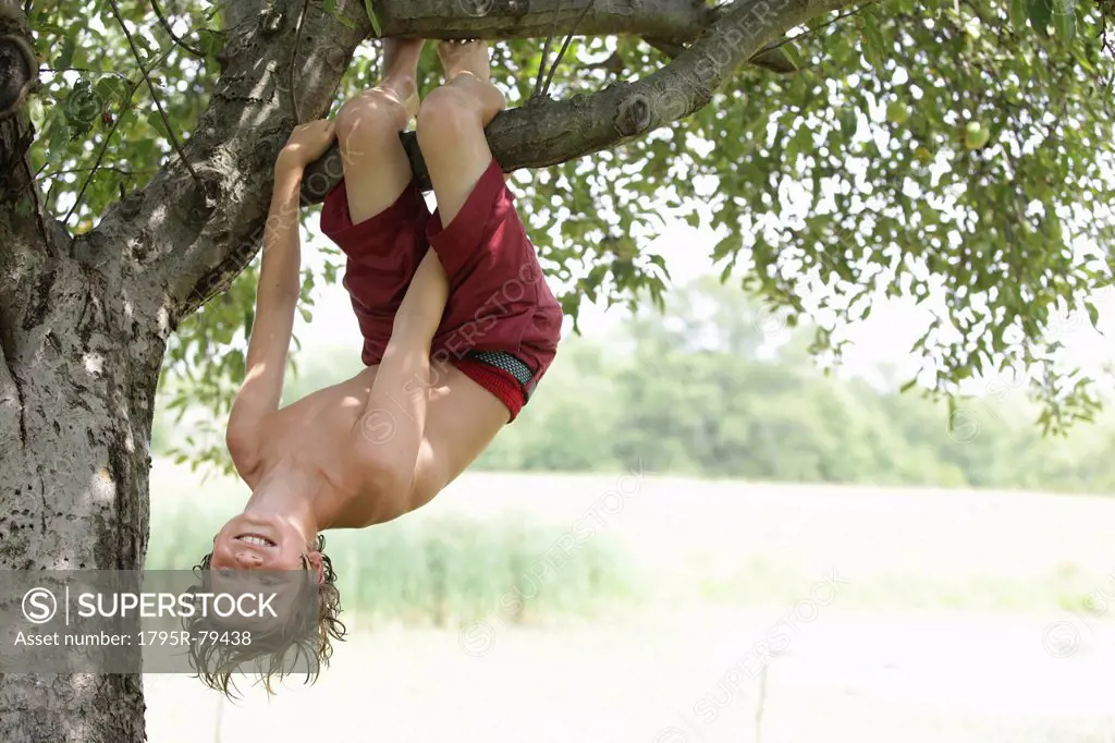 Boy 10_11 hanging upside down on tree branch