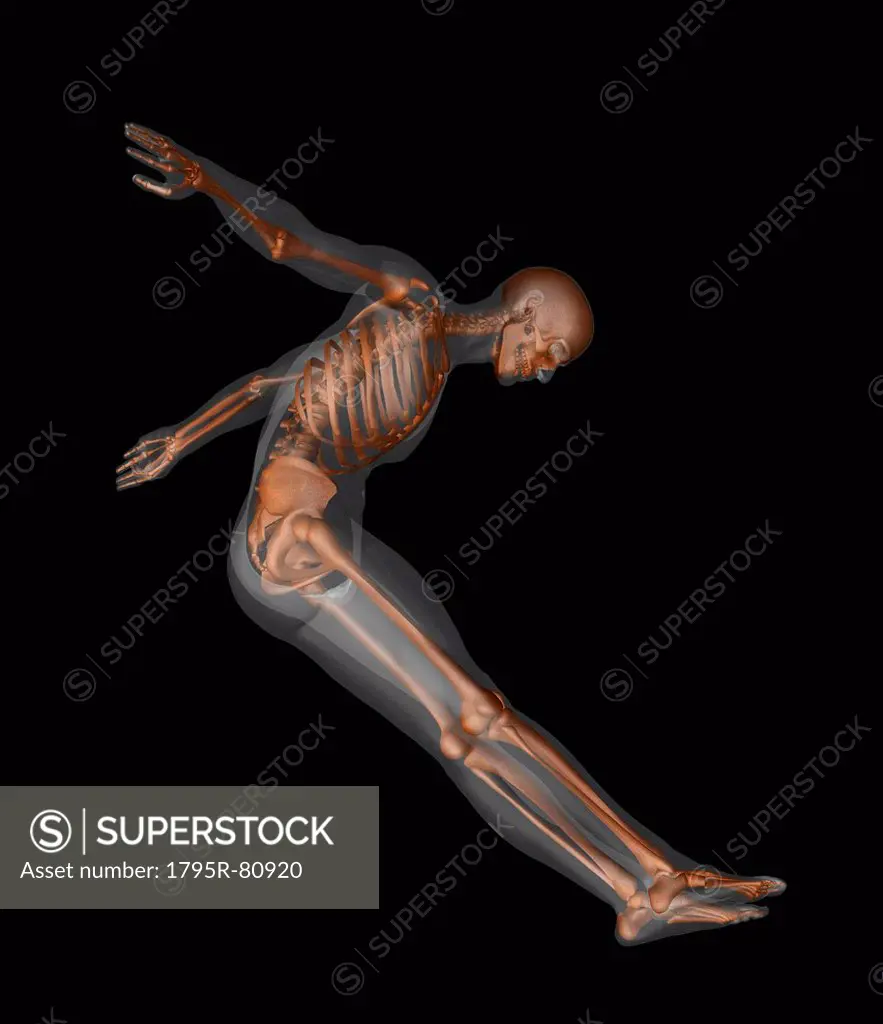 Human skeleton jumping mid_air