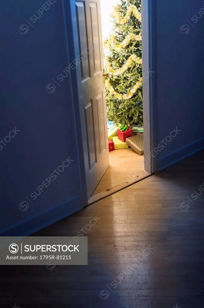 Christmas tree in doorway