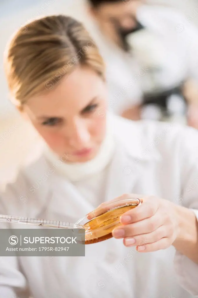 Scientist using pipette and petri dish
