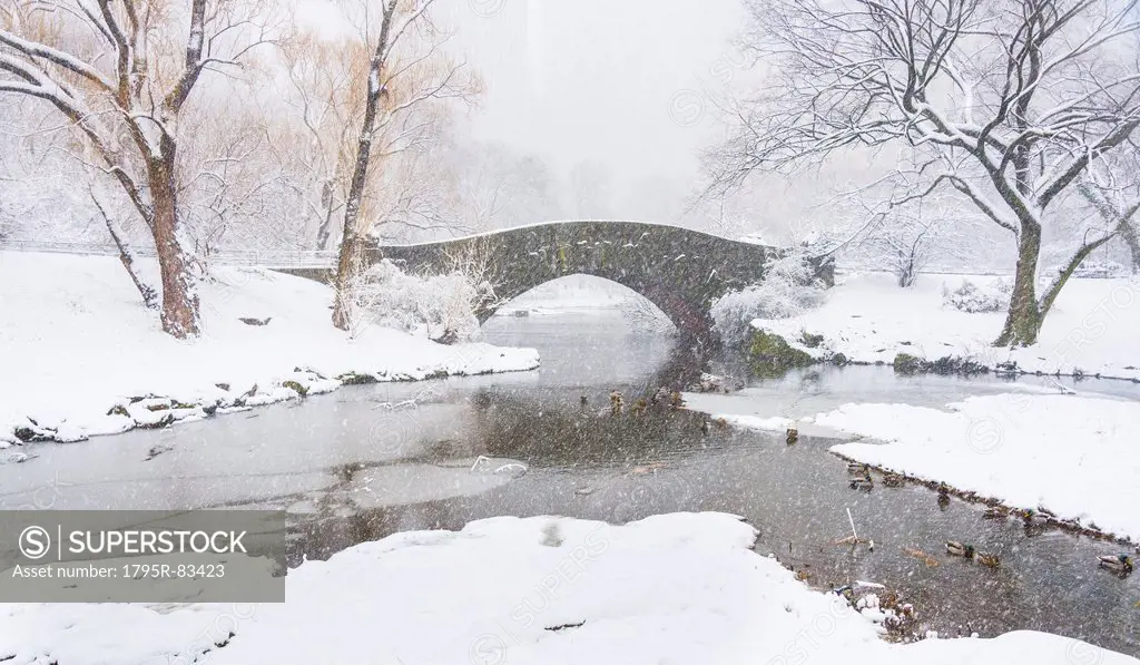 Central Park, Gapstow Bridge in winter