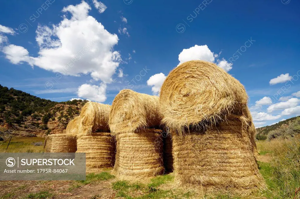 Idyllic scene of hay stacks on field
