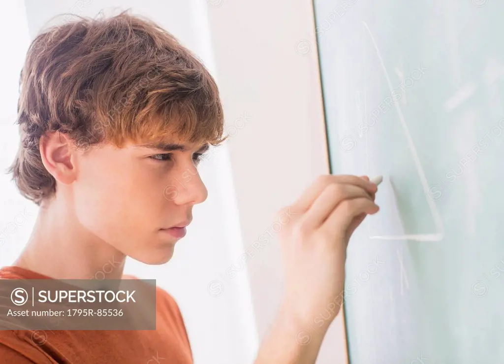 Teenage boy (14-15) in classroom