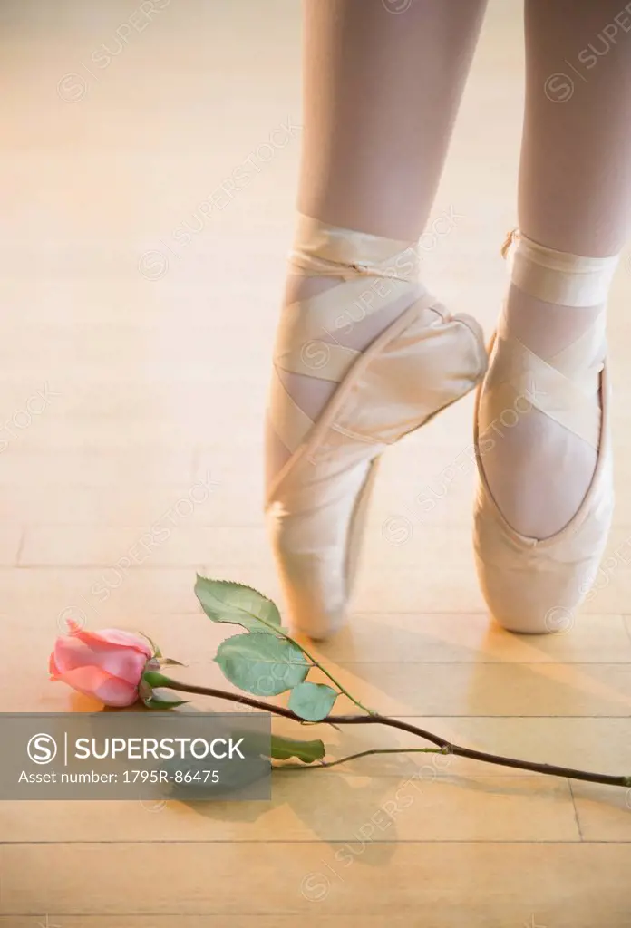 Low section of ballet dancer (16-17) tiptoing next to rose