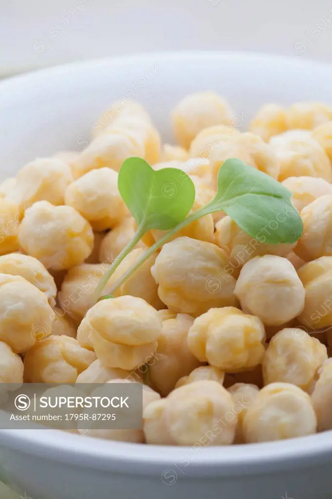 Close-up of chickpea in bowl