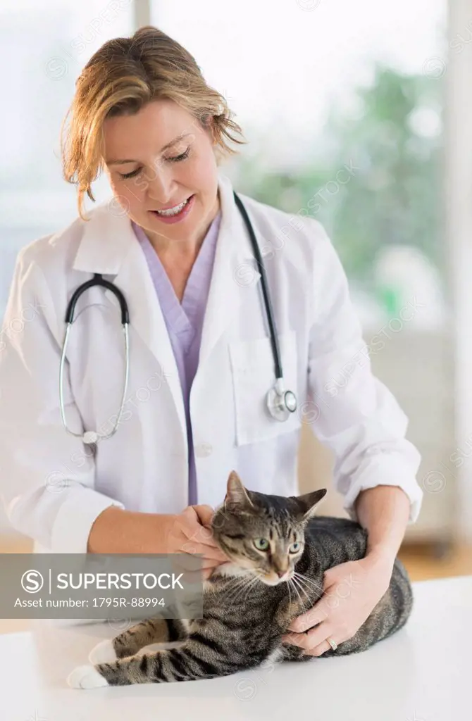Female vet with cat