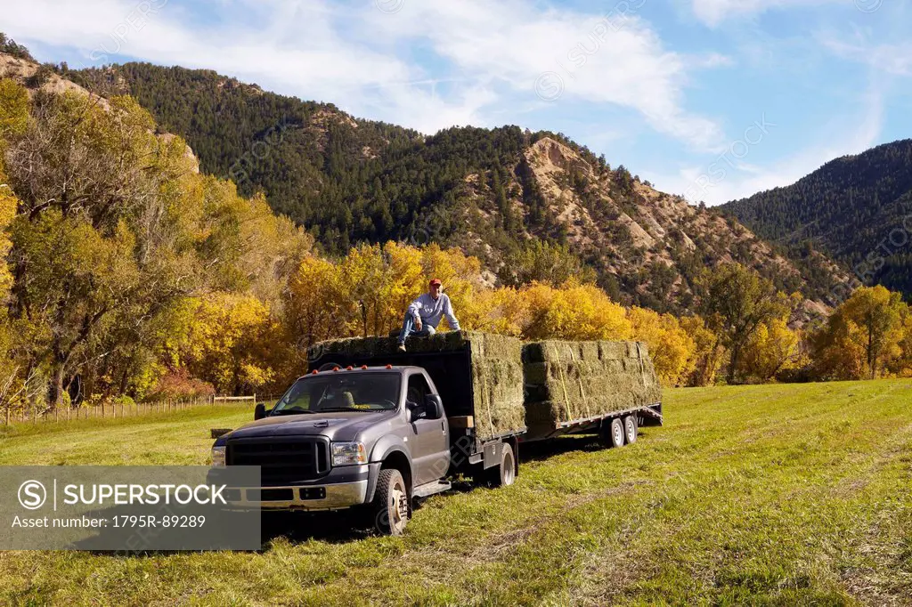 Rancher with bales of hay on his truck