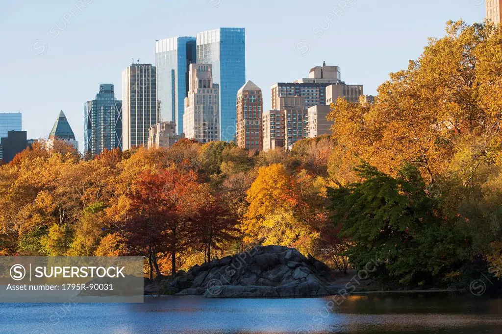 View of Central Park in autumn