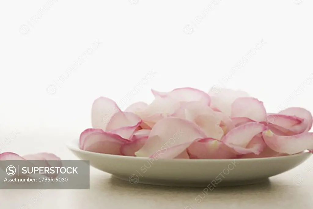 Plate of pink rose petals
