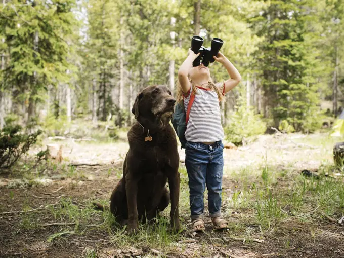 Girl (4-5) looking through binoculars in forest, chocolate labrador sitting next to her, Wasatch-Cache National Forest