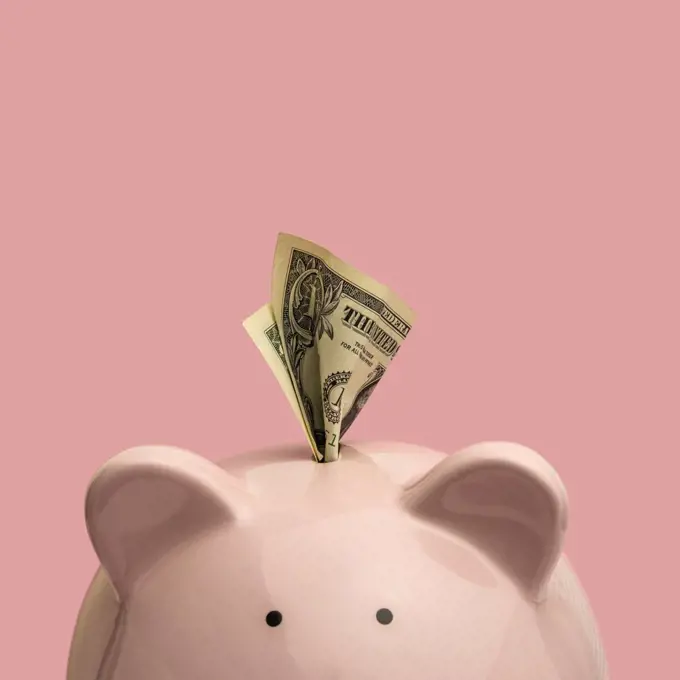 Piggy bank with US dollar bill on pink background