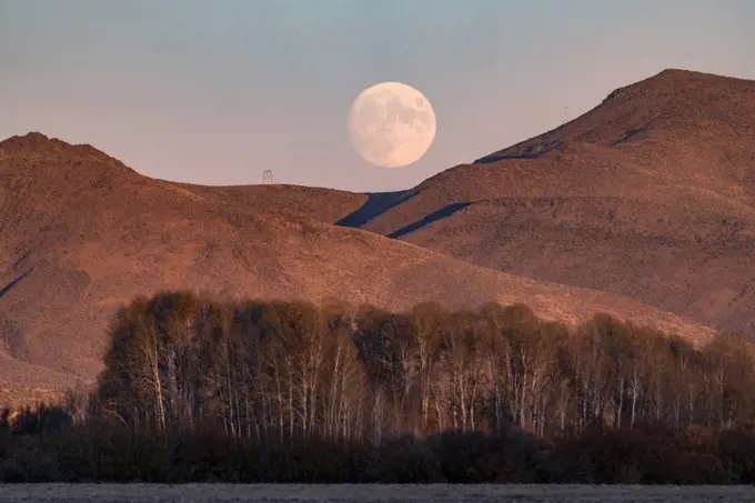 USA, Idaho, Bellevue, Full moon rising over mountains at dusk