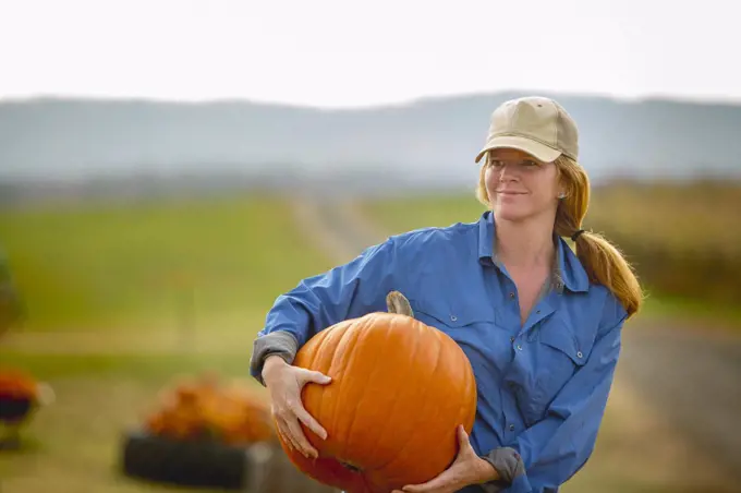 United States, Virginia, Woman harvesting pumpkins