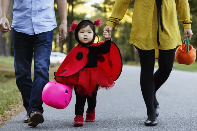 Girl dressed as ladybird with trick or treat bucket