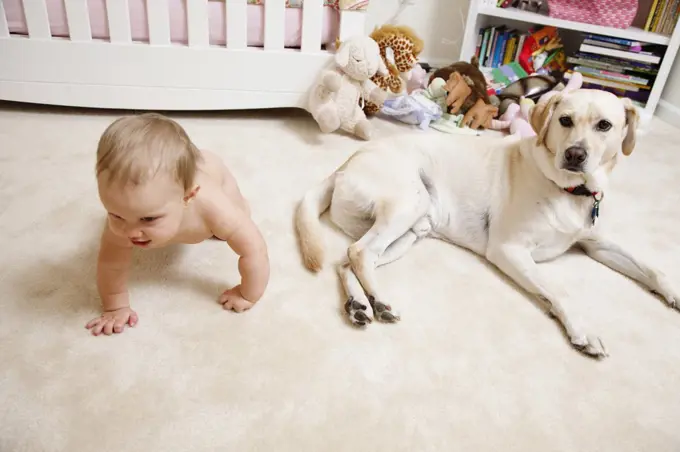Baby girl, crawling, pet dog beside her