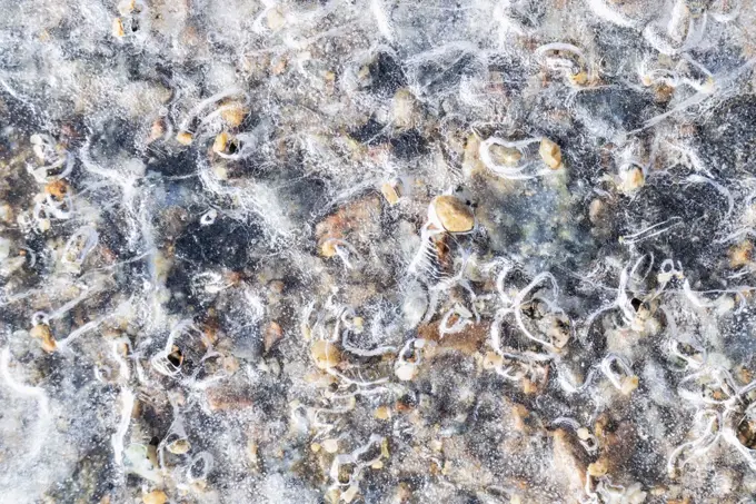 Pebbles in frozen river