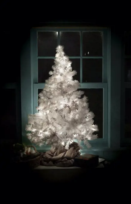 Illuminated white Christmas tree in front of home window at night