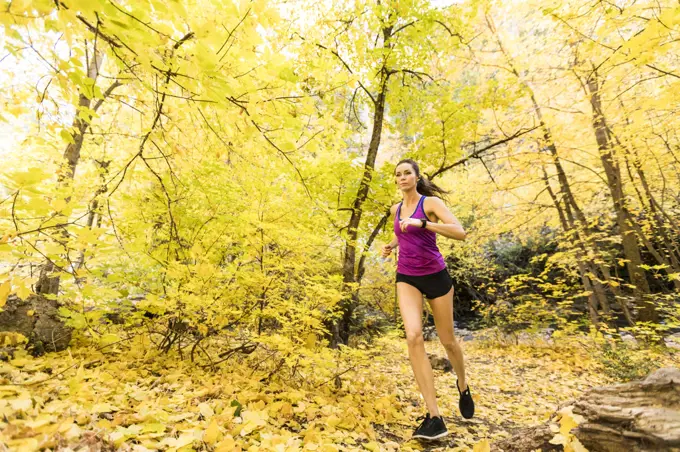 Woman jogging in Autumn forest