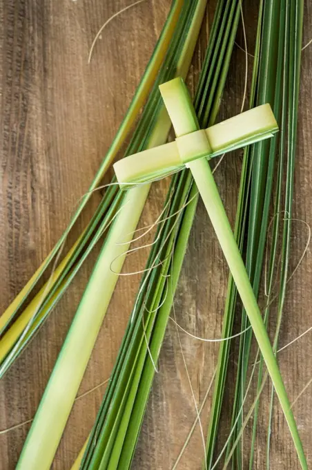 Palm leaves for palm sunday