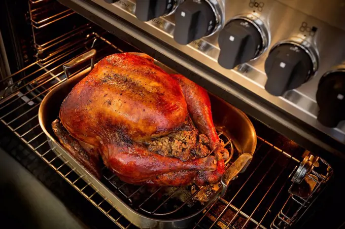 Roasted turkey for Thanksgiving in open oven