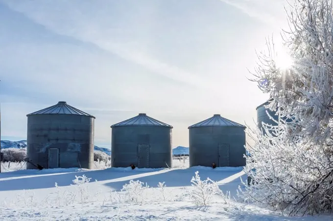 Silos on farm during winter