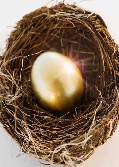 Bird´s eggs in a nest