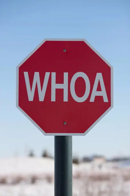 Stop sign with the word WHOA on it