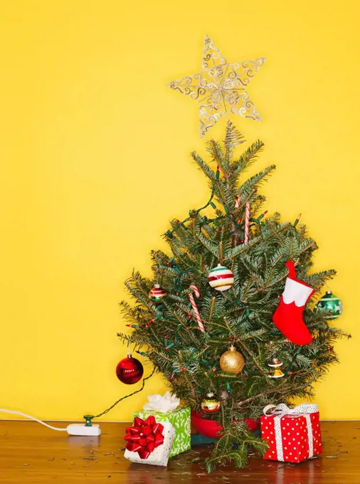 Small Christmas tree against yellow wall, studio shot