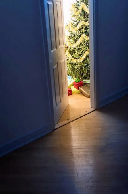 Christmas tree in doorway