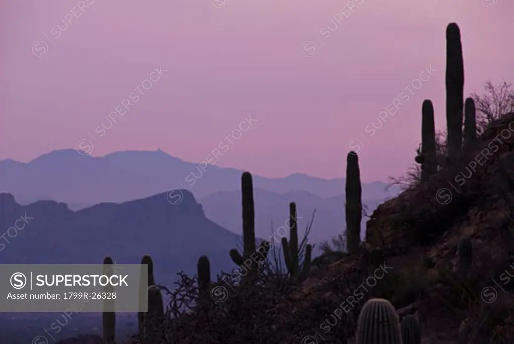 Sunset over Avra Valley from the Tucson Mountains, Tucson, Arizona, USA