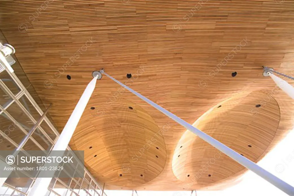 NATIONAL ASSEMBLY OF WALES, CARDIFF BAY, CARDIFF, UNITED KINGDOM, DETAIL OF ENTRANCE ROOF, ROGERS STIRK HARBOUR + PARTNERS