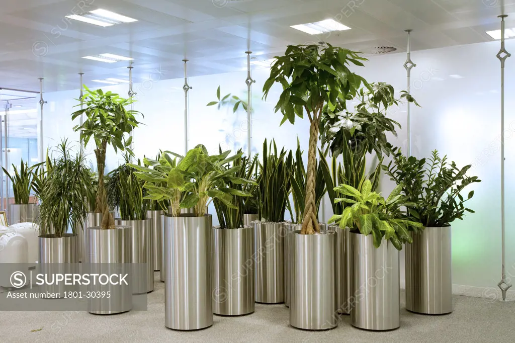 Plantation place daylight interior with assorted plant pots in front of opaque glass wall., Plantation Place, Fenchurch Street, London, EC3 Fenchurch, United Kingdom, Arup Associates
