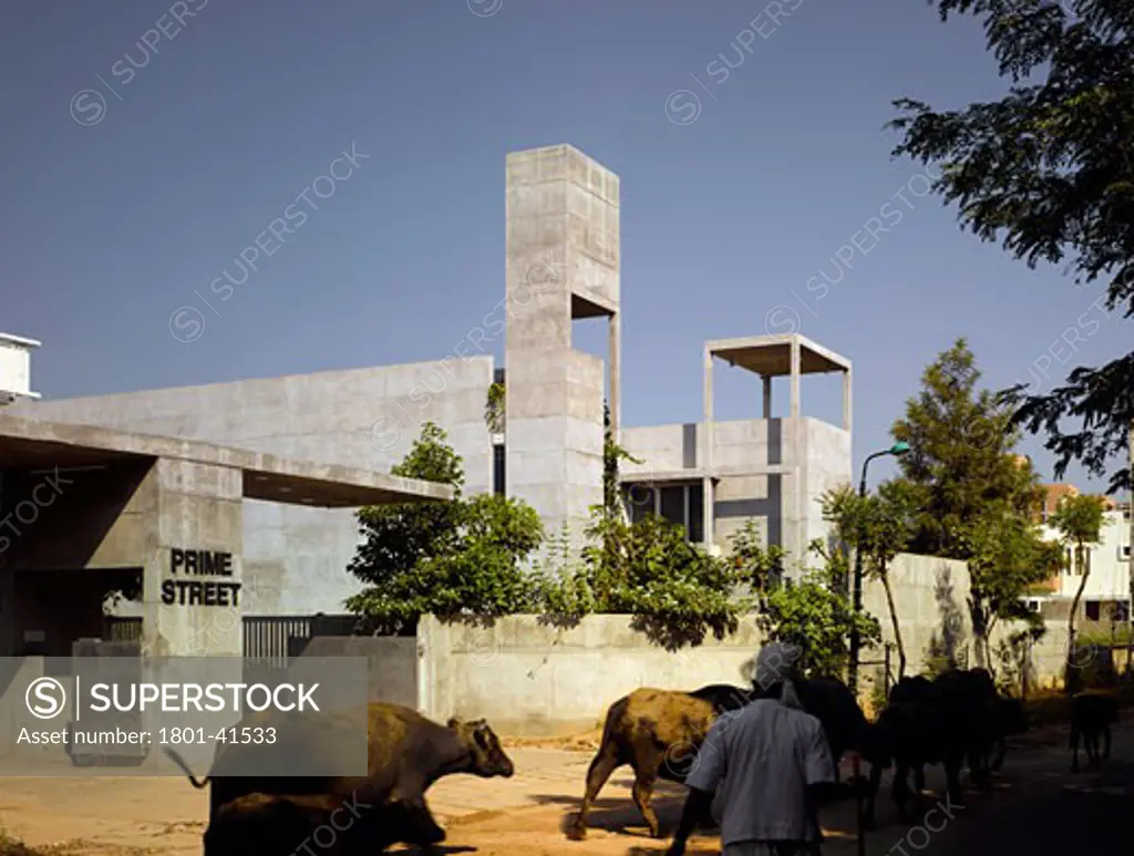 Residence for Ashok Patel, Ahmedabad, India, Matharoo Associates, Patel house street view with passing cattle.