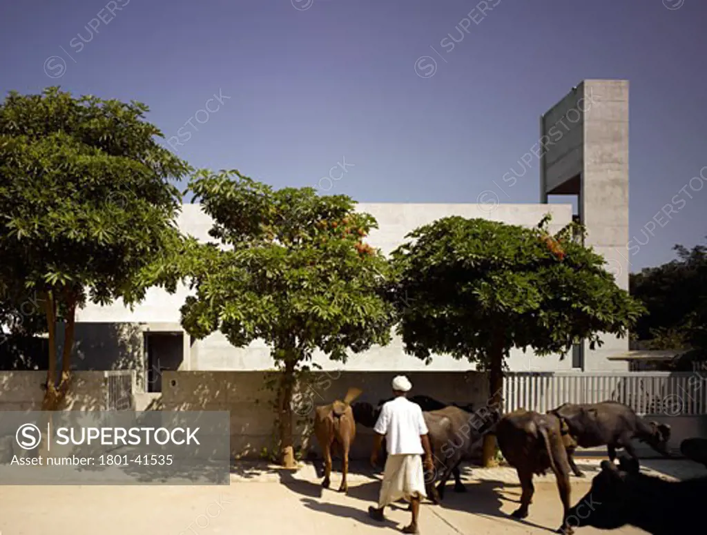 Residence for Ashok Patel, Ahmedabad, India, Matharoo Associates, Patel house street view with passing cattle.