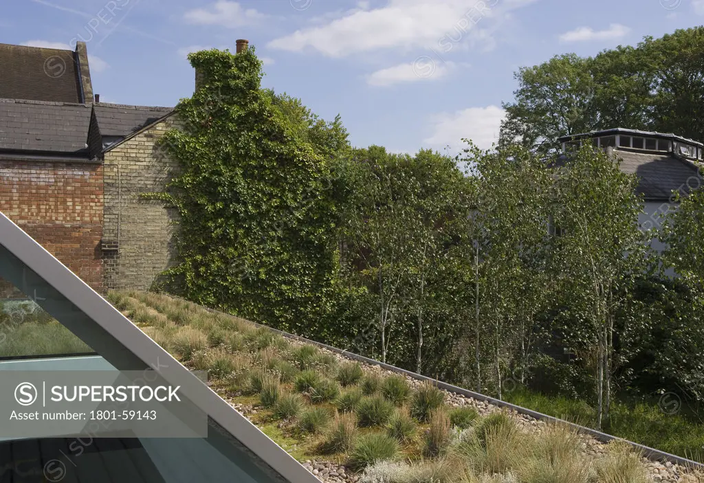 3A Hampstead Lane, Duggan Morris Architects, Exterior, Showing Green Roof And Triangular Roof Glazing