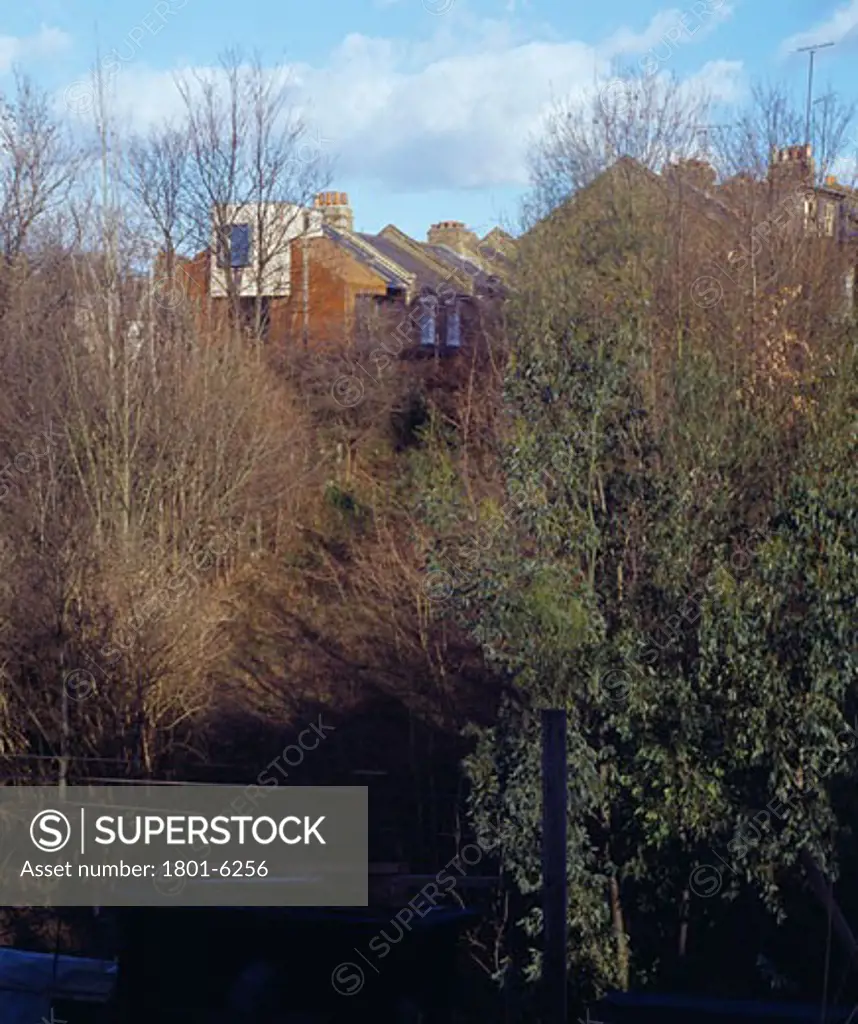 PRIVATE HOUSE, LONDON, N5 HIGHBURY, UNITED KINGDOM, VIEW FROM ALLOTMENTS, CHANCE DE SILVA ARCHITECTS