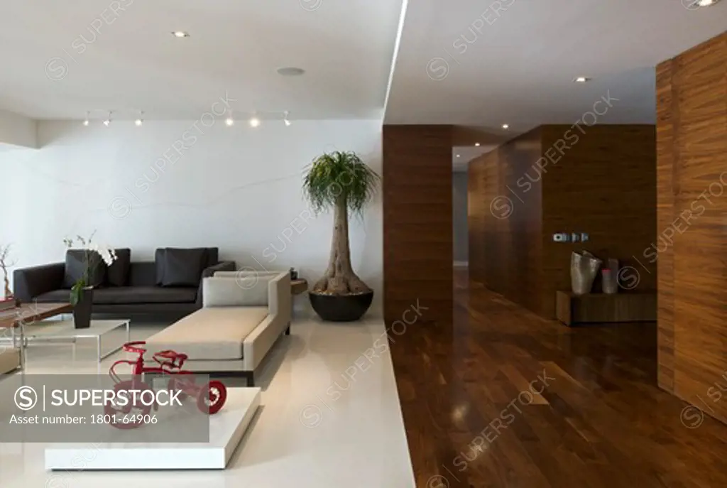 Portofino Apartment In Mexico Df By Javier Sanchez Arquitectura And Pola Zaga. General View Of Living Room With Designers Furniture Showing Entrance And Wood Floor