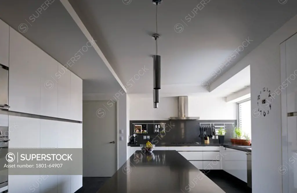 Portofino Apartment In Mexico Df By Javier Sanchez Arquitectura And Pola Zaga View Of The Kitchen
