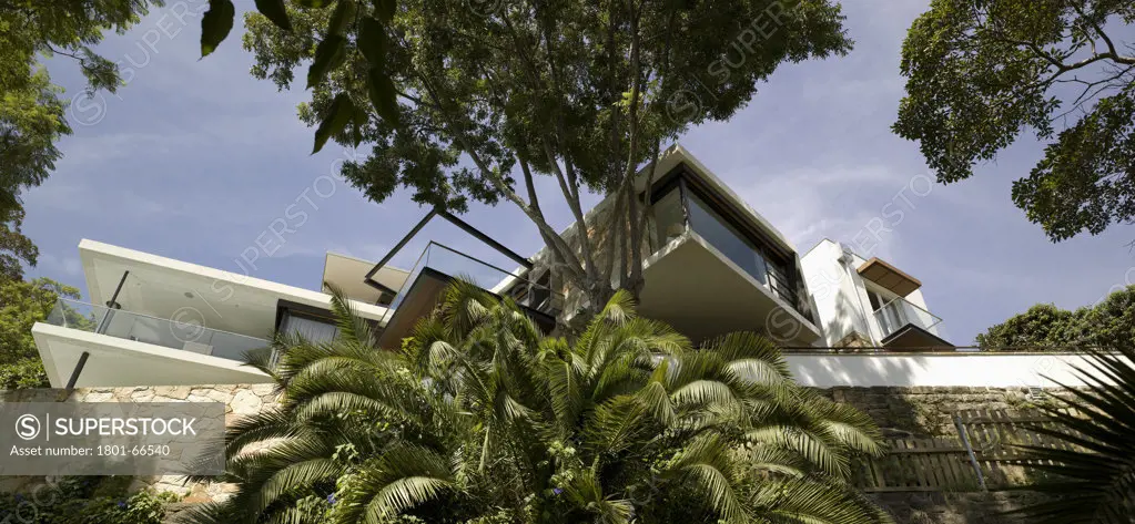 River House  Mck Architects  Sydney  View From Below To House