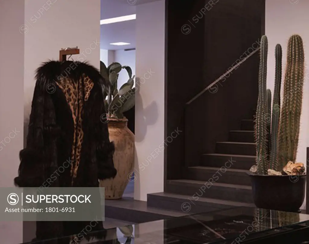 DOLCE AND GABBANA, 22 AVE MONTAIGNE, PARIS, FRANCE, GROUND FLOOR STAIRS CACTUS AND FUR COAT, DAVID CHIPPERFIELD