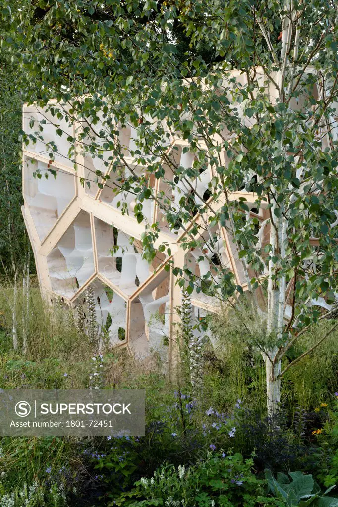 Times Eureka Pavilion, Kew, United Kingdom. Architect NEX, 2011. Exterior detail of wall with silver birch at dawn.
