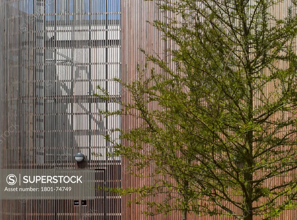 Stanley Park High School, Sutton, United Kingdom. Architect: Haverstock Associates LLP, 2011. Close-up of tree with semi transparent timber cladding.