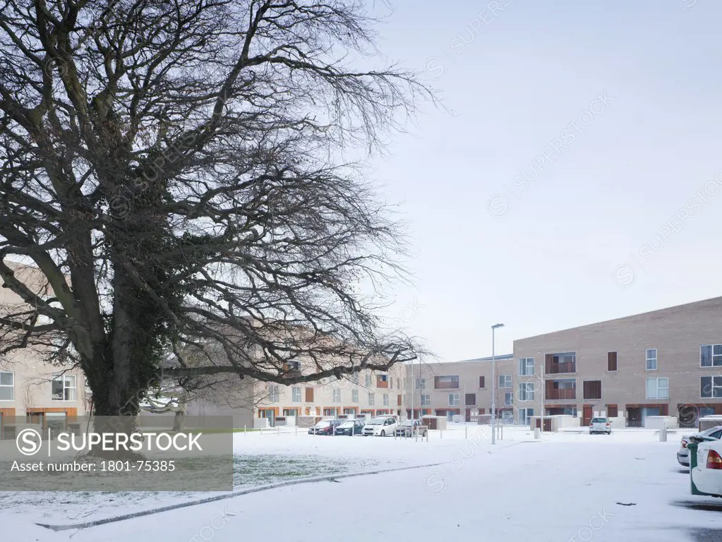 Santry Demesne, Fingal, Ireland. Architect: DTA Architects, 2009. View of the housing development from road in the snow showing tree.