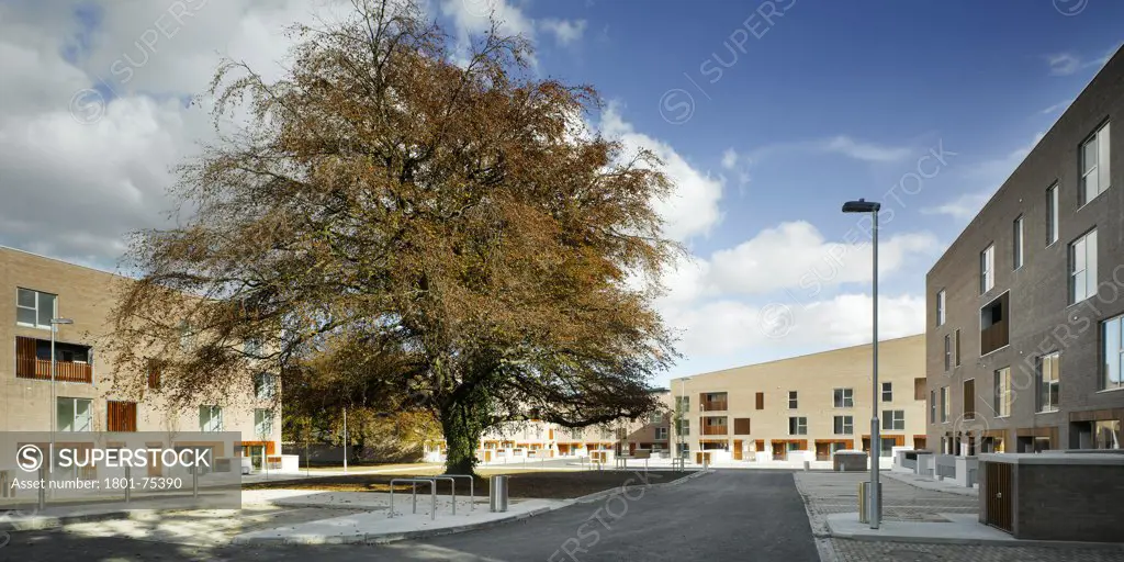Santry Demesne, Fingal, Ireland. Architect: DTA Architects, 2009. View of development from road showing tree and brick housing blocks with timber cladding.